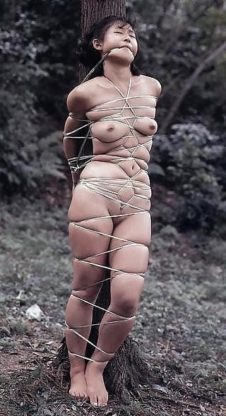 Japanese bondage rope-4693