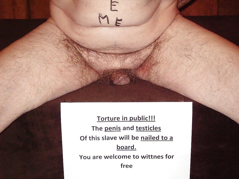 Male slave for mistress-7133